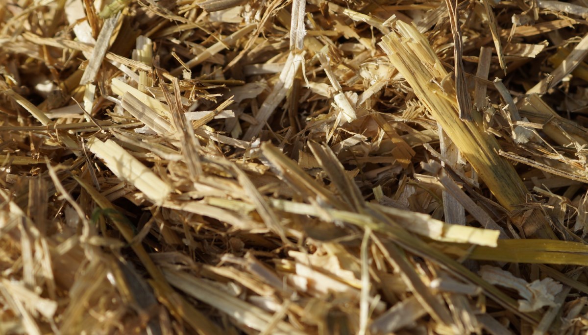 Gold Bed Sawdust Supplies